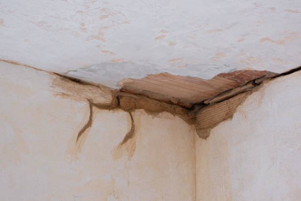  Tallmadge, OH Water damage restoration Pros
