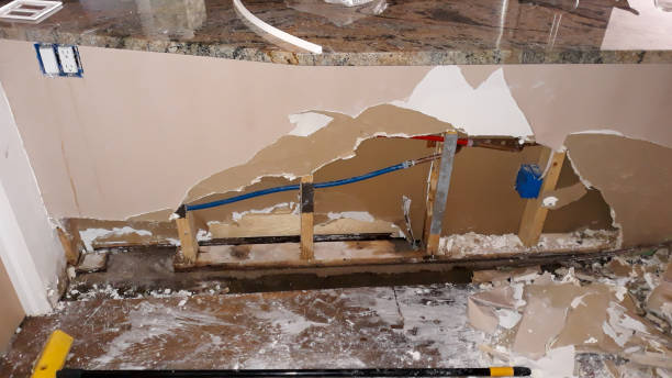 Best Mold removal after water damage  in Tallmadge, OH