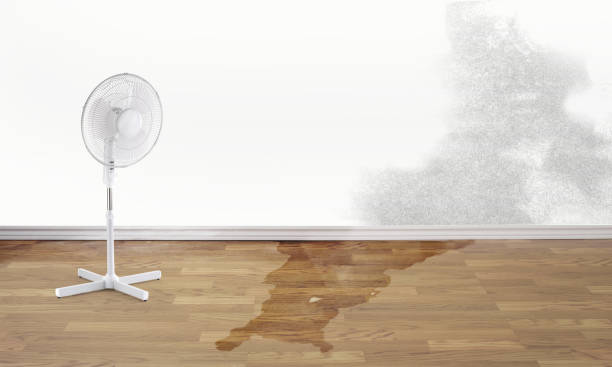 Best Emergency water damage restoration  in Tallmadge, OH