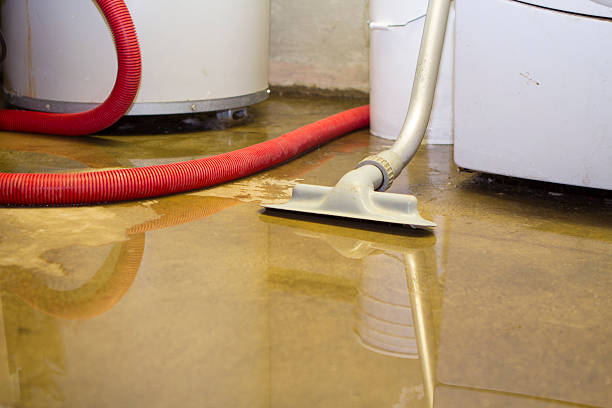 Best Water damage restoration near me  in Tallmadge, OH