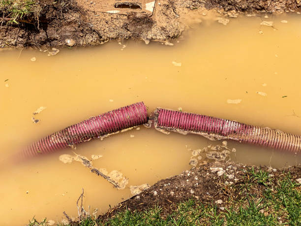 Best Professional water damage repair  in Tallmadge, OH
